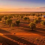 Principais cidades para conhecer na Austrália além de Sydney